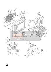 Termosifone & Tubo